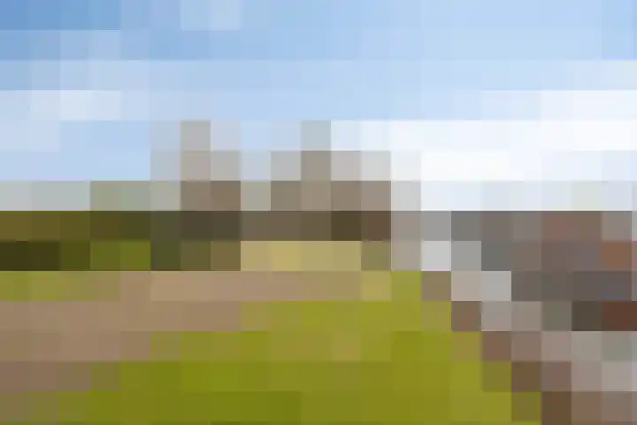Rosandepolder 42 Arnhem thumbnail 45