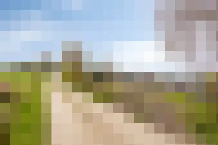 Rosandepolder 42 Arnhem thumbnail 47