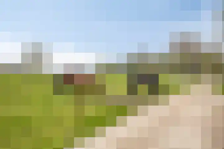 Rosandepolder 42 Arnhem thumbnail 49