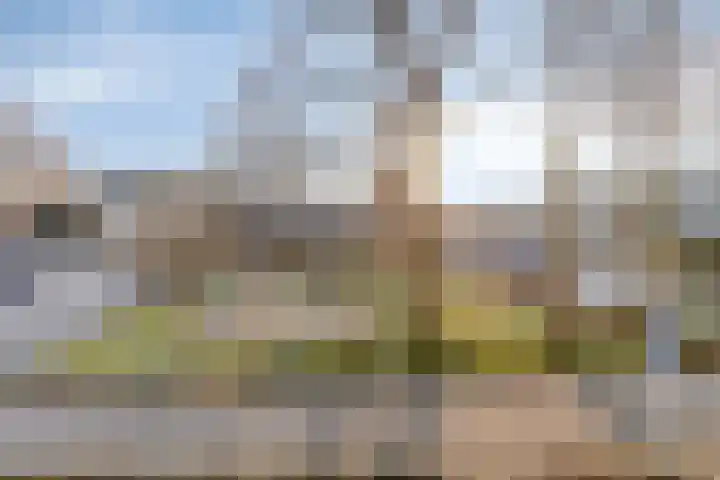 Rosdaal 2 Someren thumbnail 19