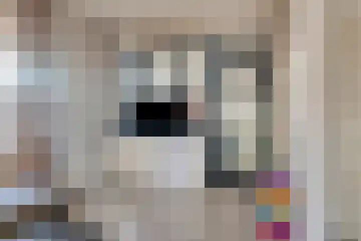 Rosdaal 2 Someren thumbnail 8