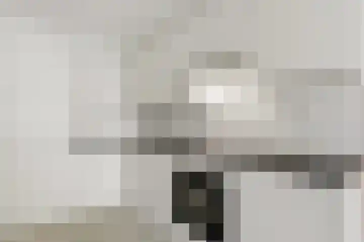 Rosenburch 4 Leiden thumbnail 7