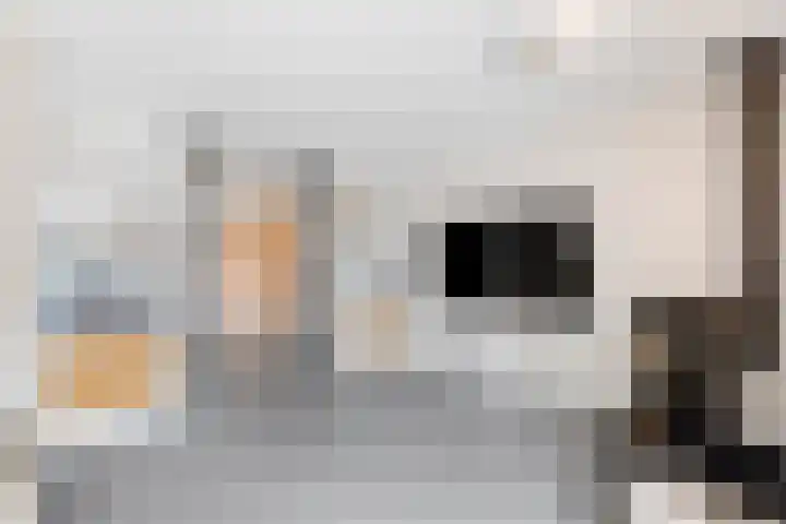 Rosendael 10 Zeewolde thumbnail 12