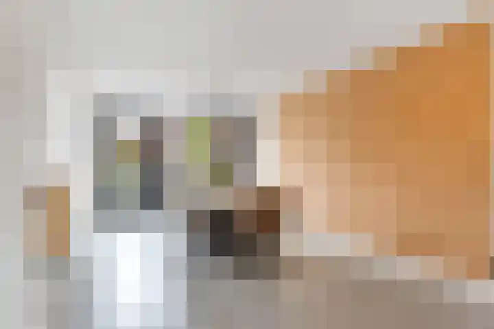 Rosendael 10 Zeewolde thumbnail 20