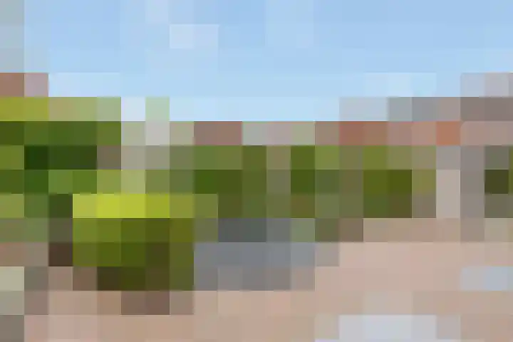 Rosendael 10 Zeewolde thumbnail 47