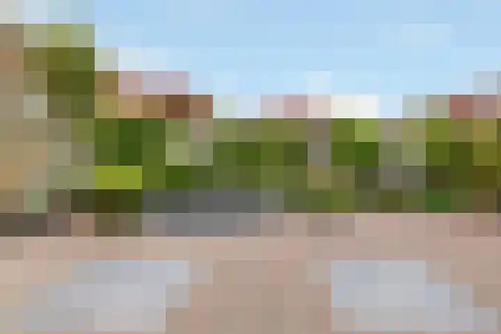 Rosendael 10 Zeewolde thumbnail 48