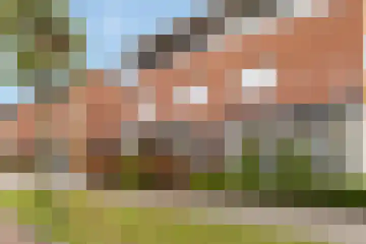 Rosendael 10 Zeewolde thumbnail 5