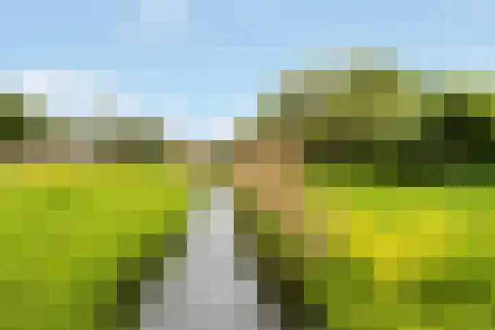 Rosendael 10 Zeewolde thumbnail 53