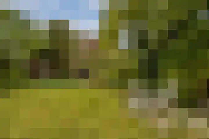 Rosendael 12 Landsmeer thumbnail 14