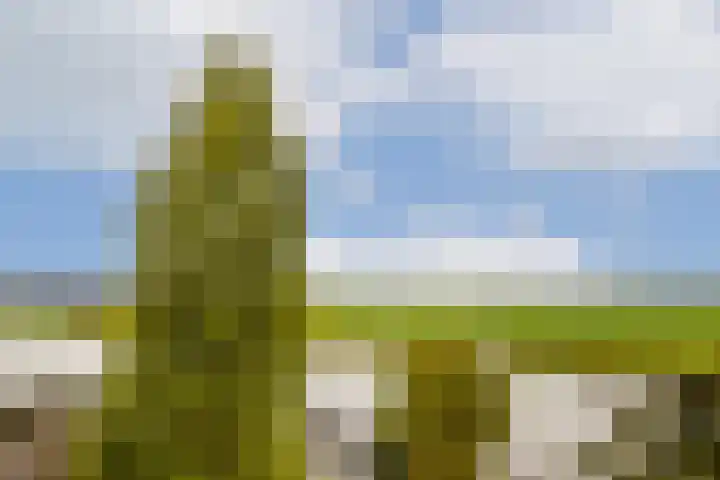 Rosendael 12 Landsmeer thumbnail 27