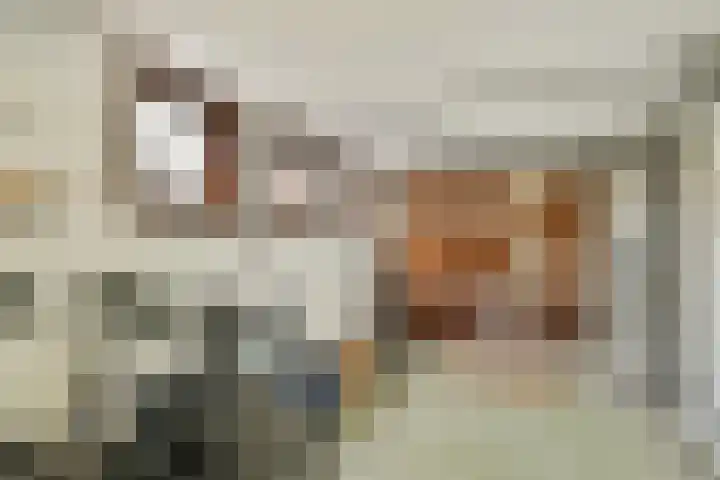 Rosendael 12 Landsmeer thumbnail 32
