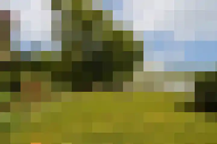 Rosendael 12 Landsmeer thumbnail 4