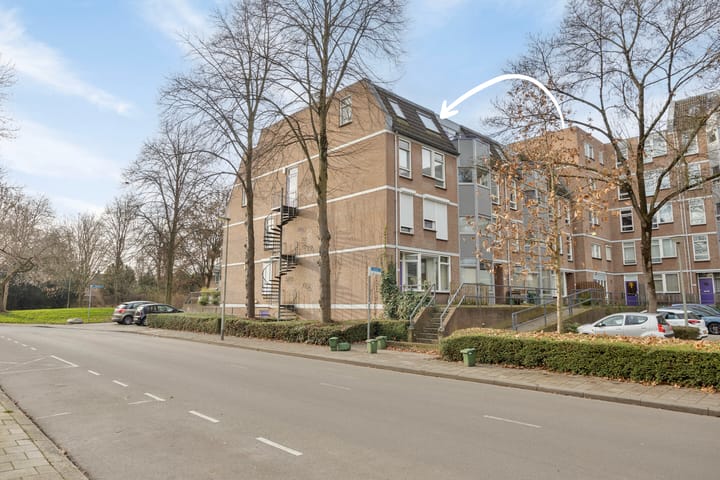 Roserije 225C in Maastricht foto