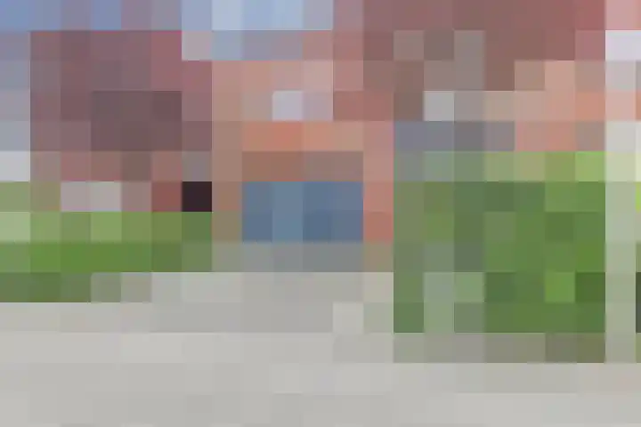 Rosmolen 14 in De Lier