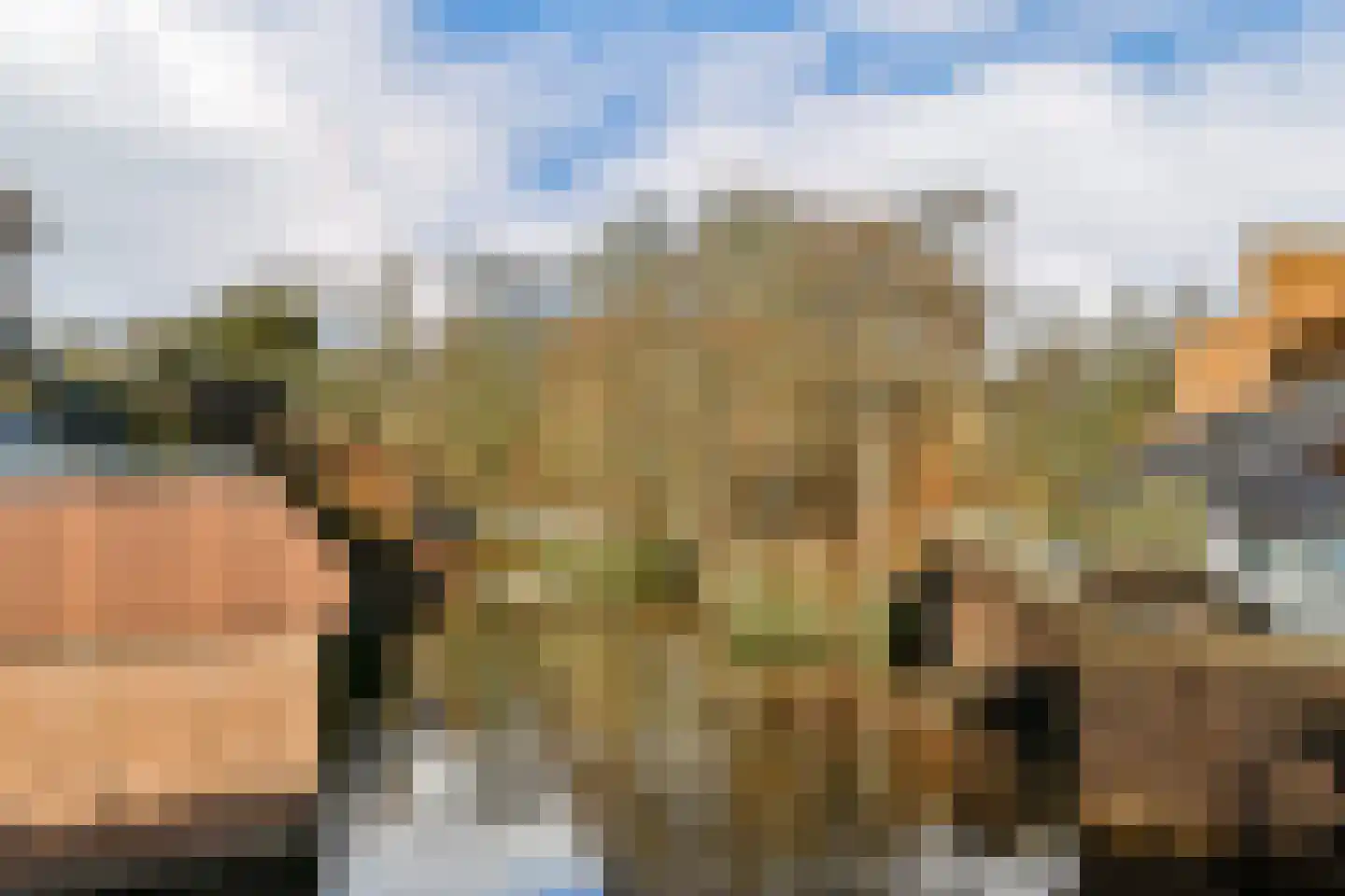 Rosmolen 170 Leiden thumbnail 21