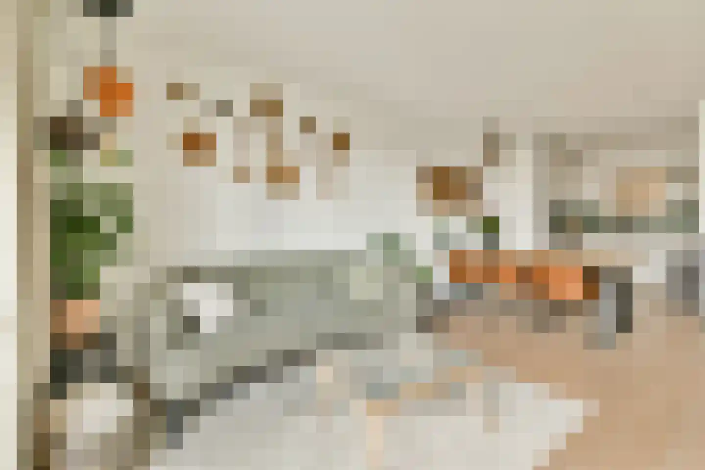 Rosmolen 170 Leiden thumbnail 6
