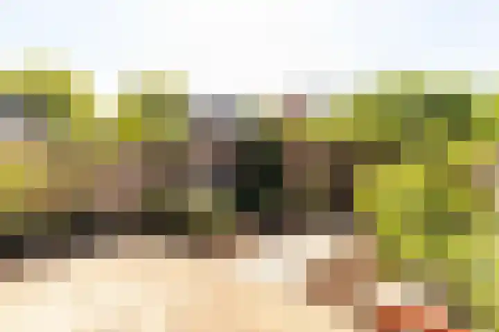 Rosmolen 175 Ridderkerk thumbnail 16
