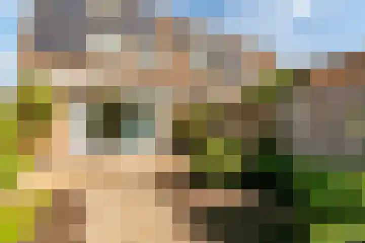 Rosmolen 175 Ridderkerk thumbnail 17