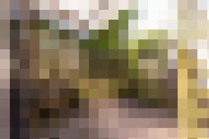 Rosmolen 175 Ridderkerk thumbnail 19