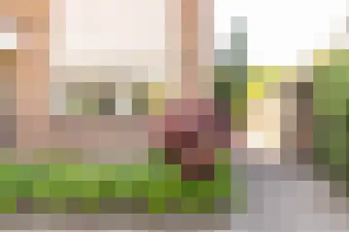 Rosmolen 175 Ridderkerk thumbnail 38