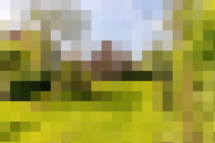 Rosmolen 175 Ridderkerk thumbnail 39