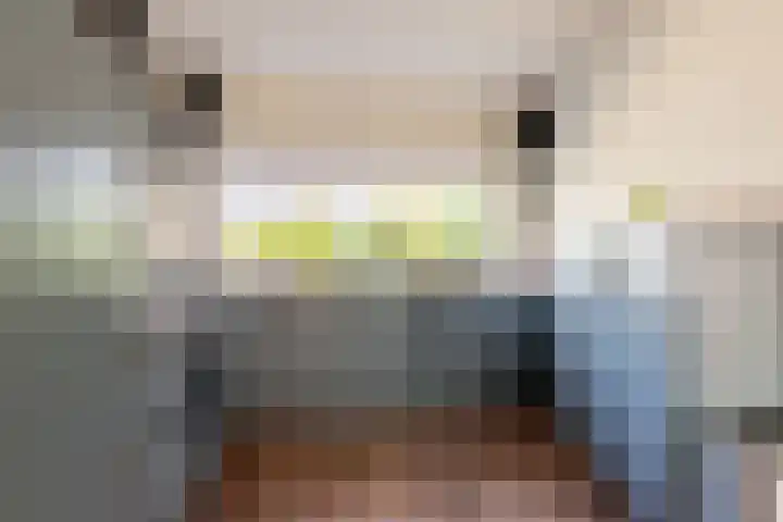 Rosmolen 175 Ridderkerk thumbnail 8
