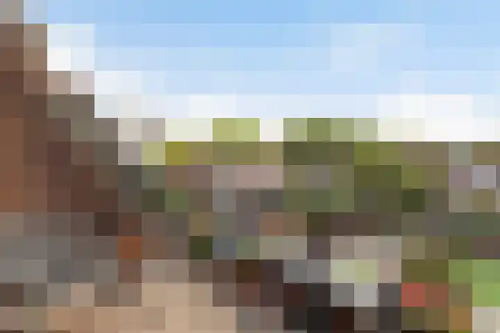 Rosmolen 26 Ridderkerk thumbnail 18