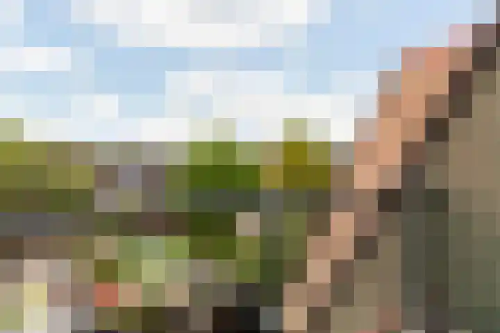 Rosmolen 26 Ridderkerk thumbnail 19