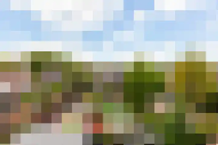 Rosmolen 26 Ridderkerk thumbnail 21