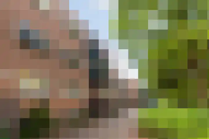 Rosmolen 26 Ridderkerk thumbnail 28