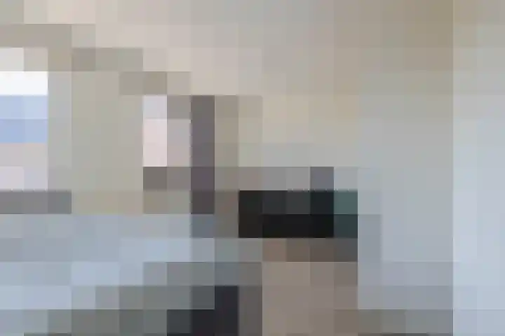 Rosmolen 28 Pijnacker thumbnail 19