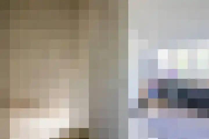 Rosmolen 28 Pijnacker thumbnail 30