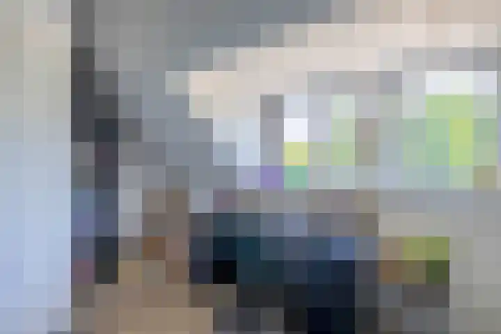 Rosmolen 28 Pijnacker thumbnail 31