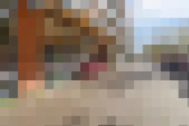 Rosmolen 28 Pijnacker thumbnail 41