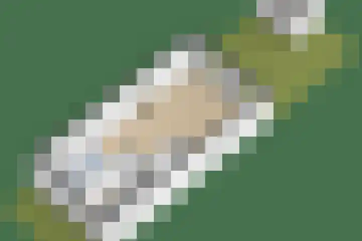 Rosmolen 28 Pijnacker thumbnail 48