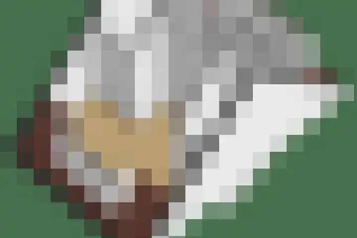Rosmolen 28 Pijnacker thumbnail 51