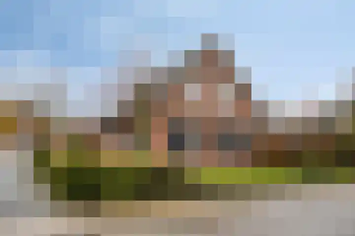 Rosmolen 41 de Lutte