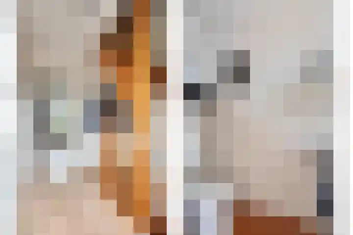 Rosmolen 41 de Lutte thumbnail 14