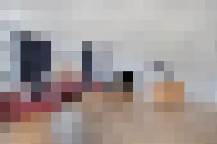Rosmolen 41 de Lutte foto 2