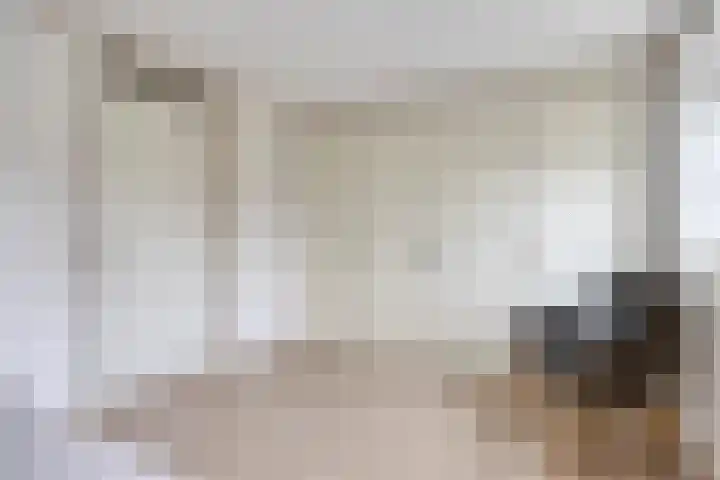 Rosmolen 41 de Lutte thumbnail 21