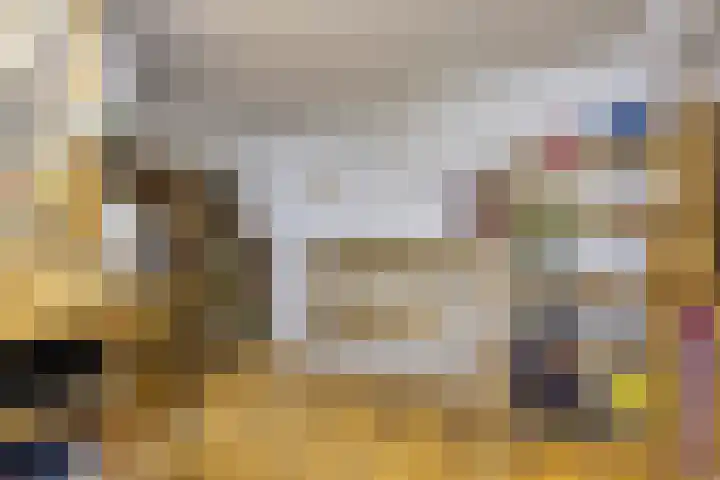 Rosmolen 41 de Lutte thumbnail 27