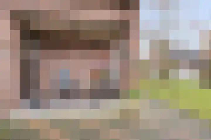 Rosmolen 41 de Lutte thumbnail 30