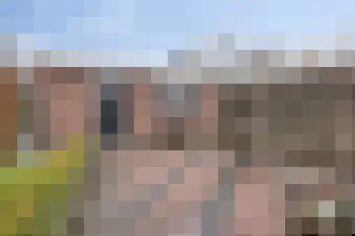 Rosmolen 41 de Lutte thumbnail 35