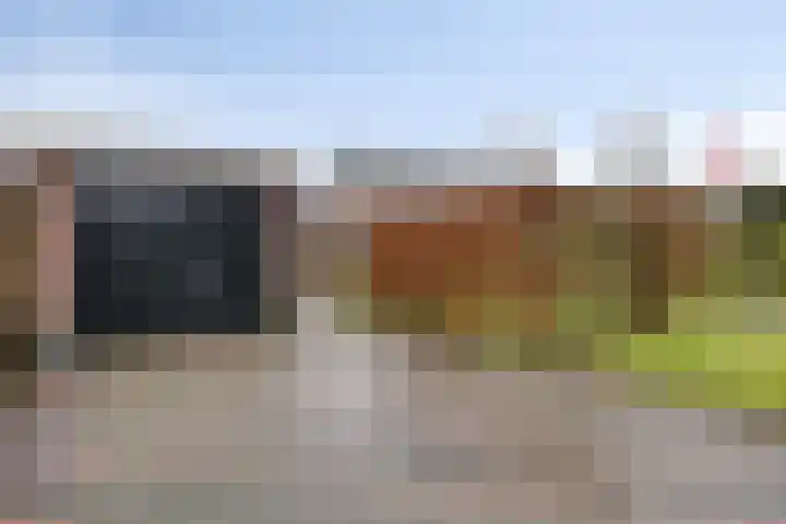 Rosmolen 41 de Lutte thumbnail 36