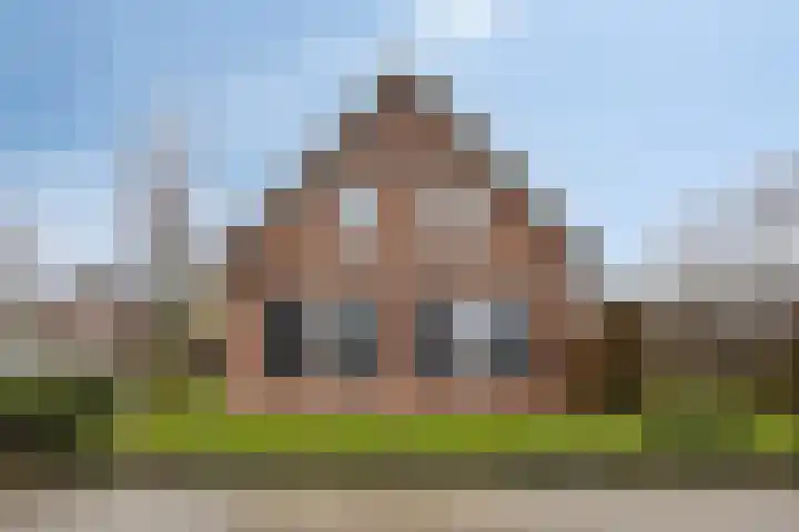 Rosmolen 41 de Lutte thumbnail 38
