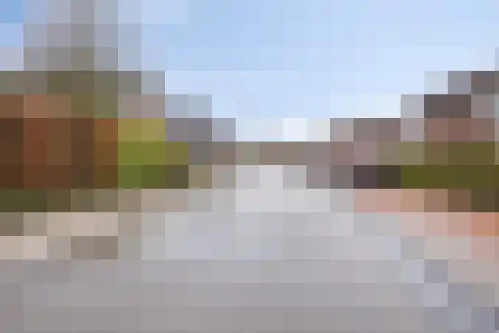 Rosmolen 41 de Lutte thumbnail 40