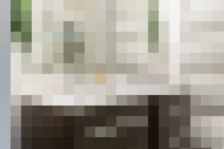 Rosmolen 41 Ridderkerk thumbnail 26