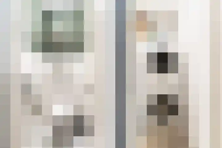 Rosmolen 41 Ridderkerk thumbnail 4