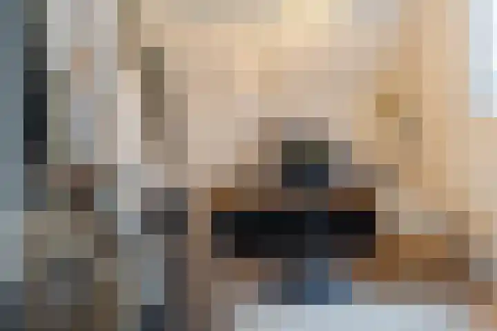 Rosmolen 47 Ridderkerk thumbnail 15