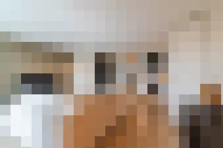 Rosmolen 47 Ridderkerk thumbnail 17